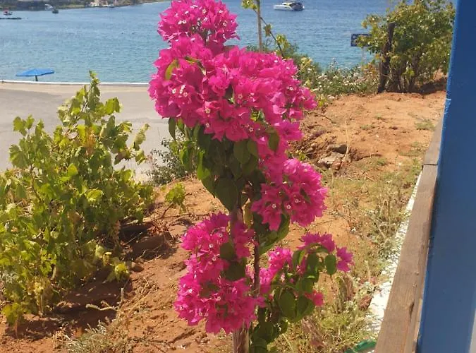 Sea View House * ארכאנגלוס